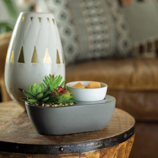 Modern Succulents Wax Warmer