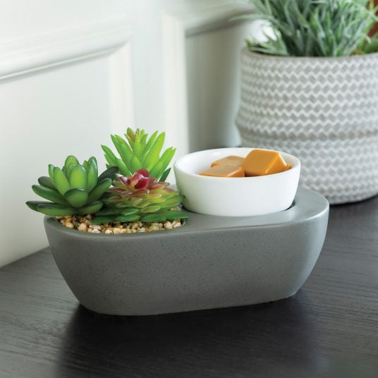 Modern Succulents Wax Warmer