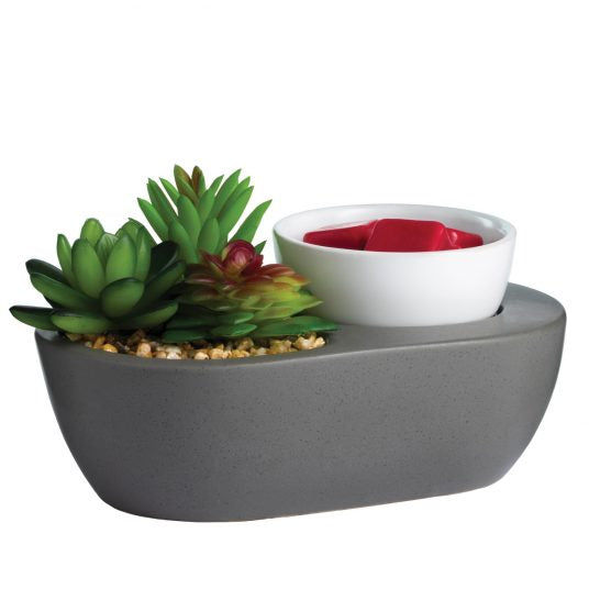 Modern Succulents Wax Warmer